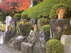 宝徳寺