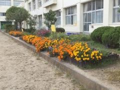西多賀小学校