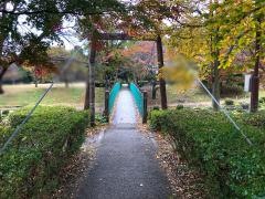 矢瀬親水公園