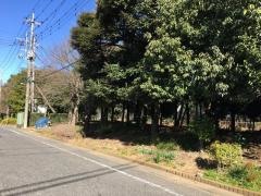 2号緑地