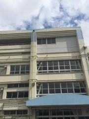 豊洲小学校