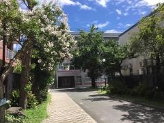 南材木町小学校