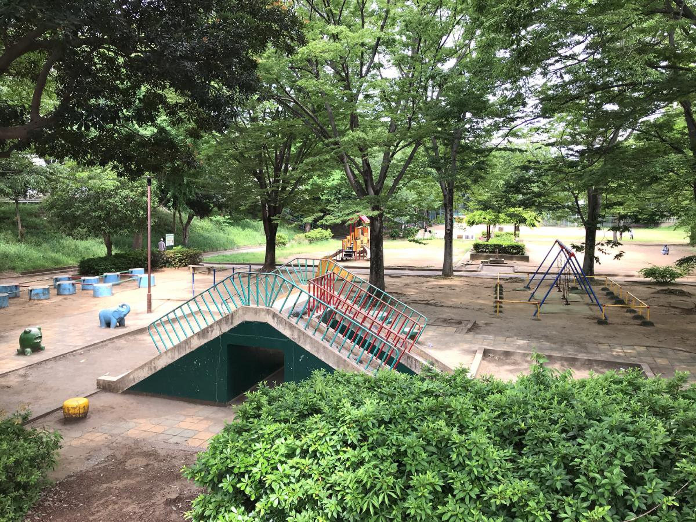 美しの森公園の現在と評判を徹底追跡！混雑や駐車場の真相に迫る