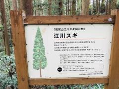 都立高尾陣場自然公園