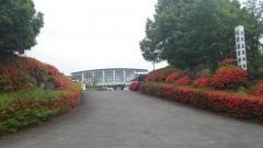 杜若高等学校