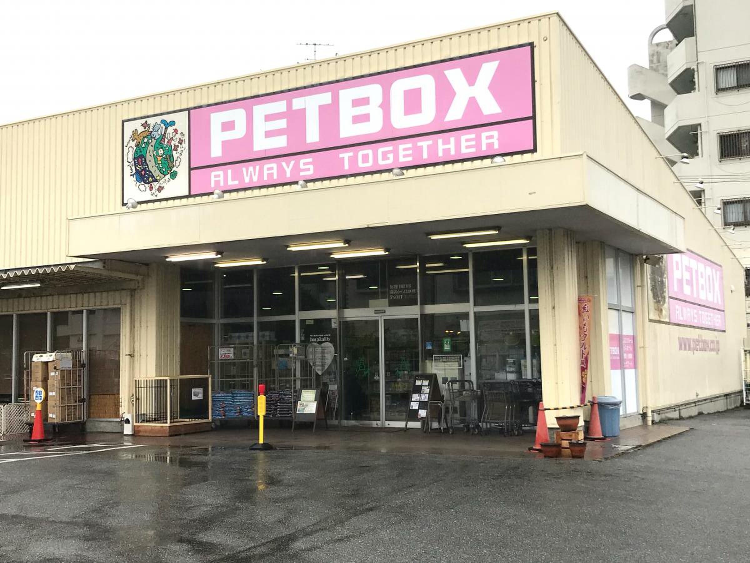 活動歴および当時の関連ビジュアル記録