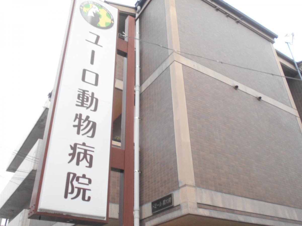 外観です。