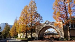 藤田医科大学大学院