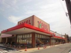 フィール花の木店