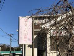 浦郷さくら柔整治療院