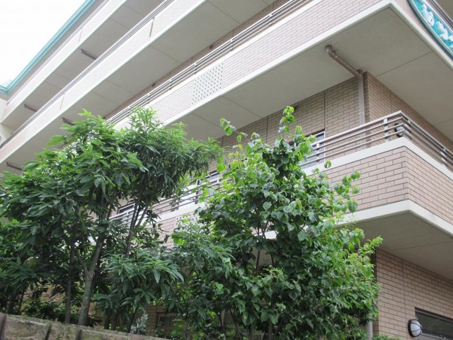 ツクイ・サンシャイン相模原 雰囲気