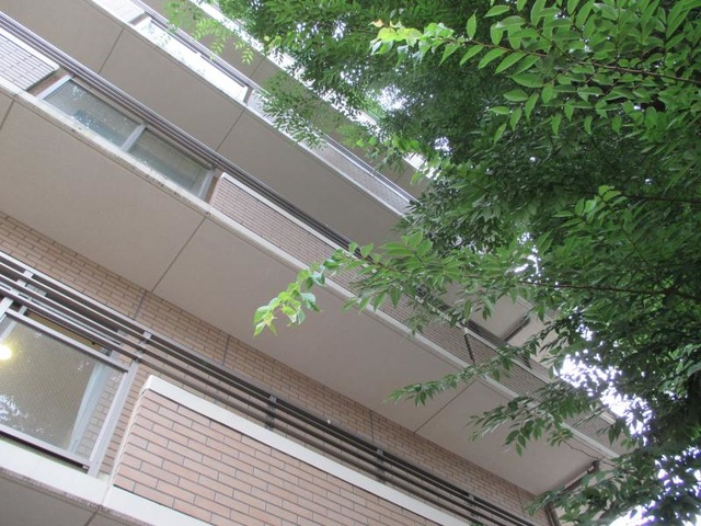 ツクイ・サンシャイン相模原 雰囲気