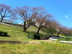 茨城県立土浦第三高等学校