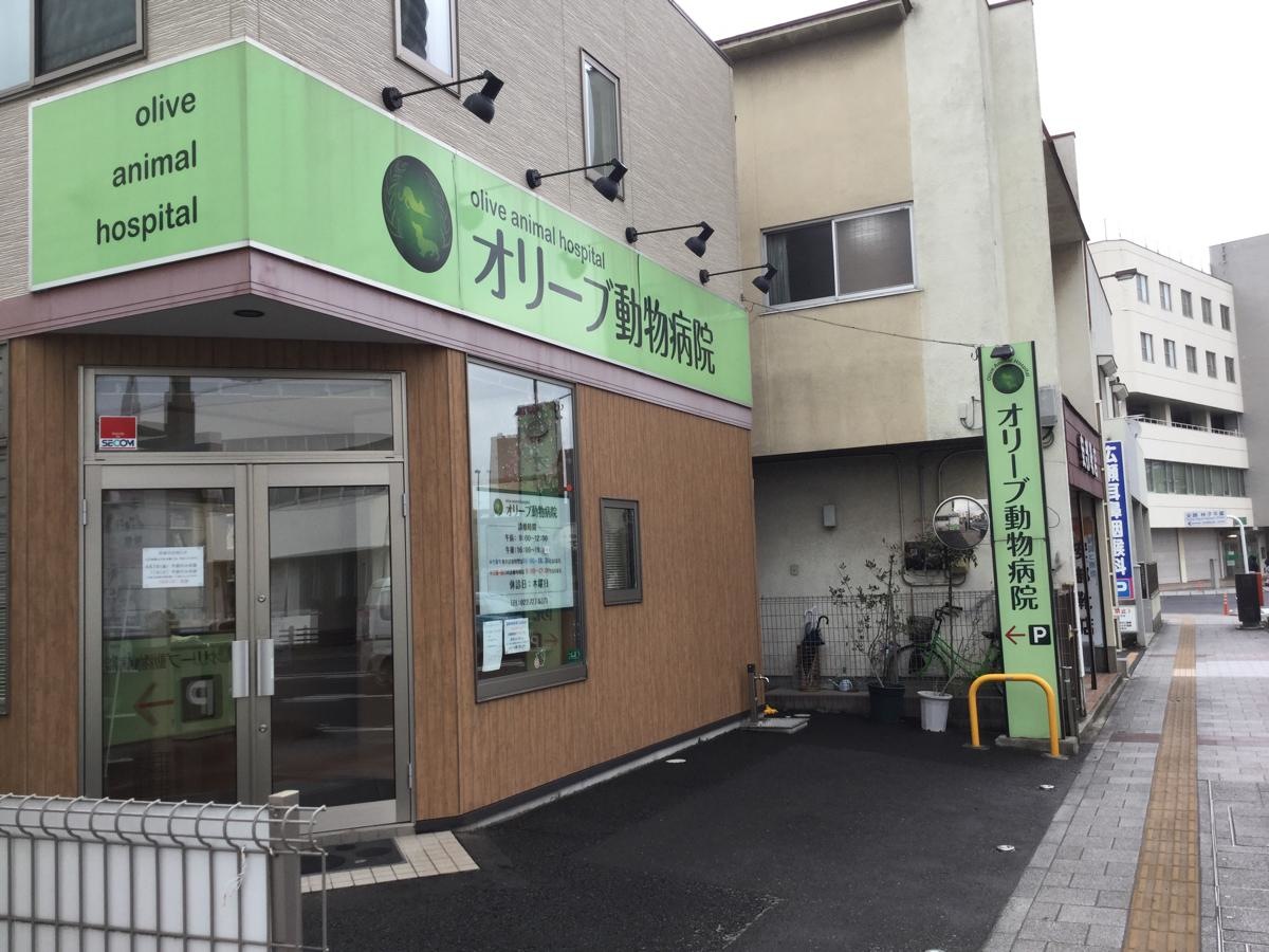 オリーブ動物病院