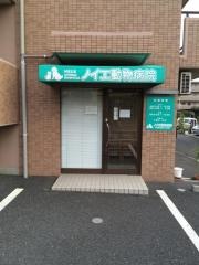 ノイエ動物病院