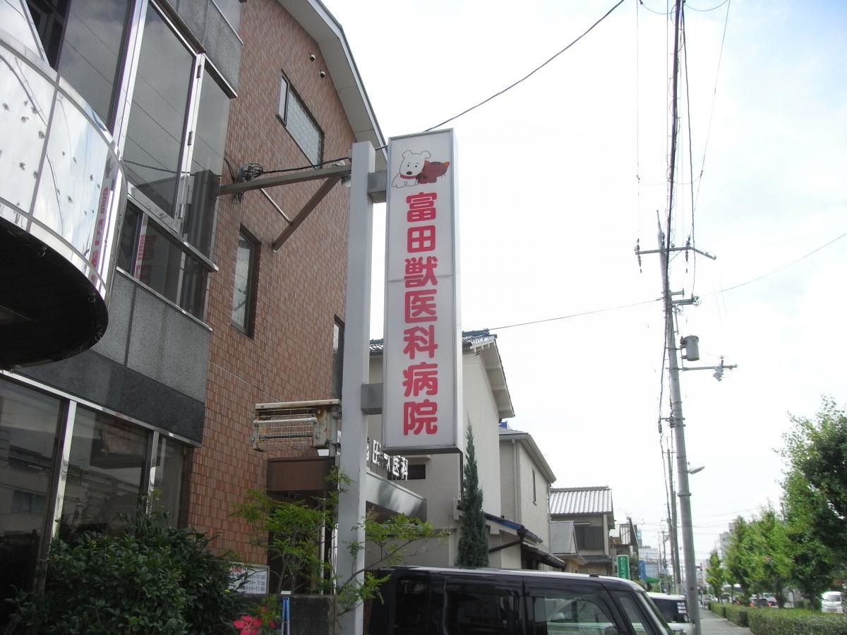 富田獣医科病院