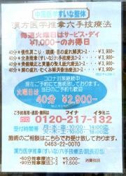 中国医学整体　すいな