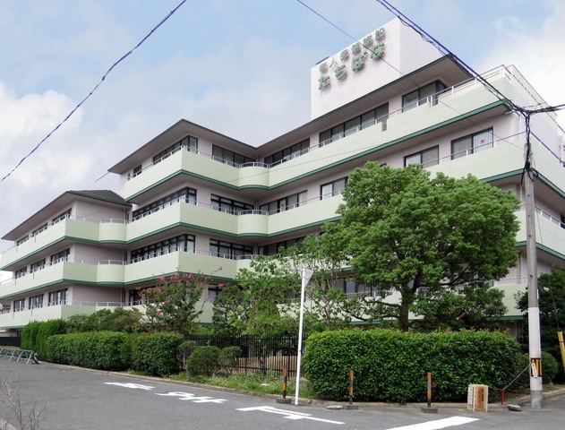 たちばな