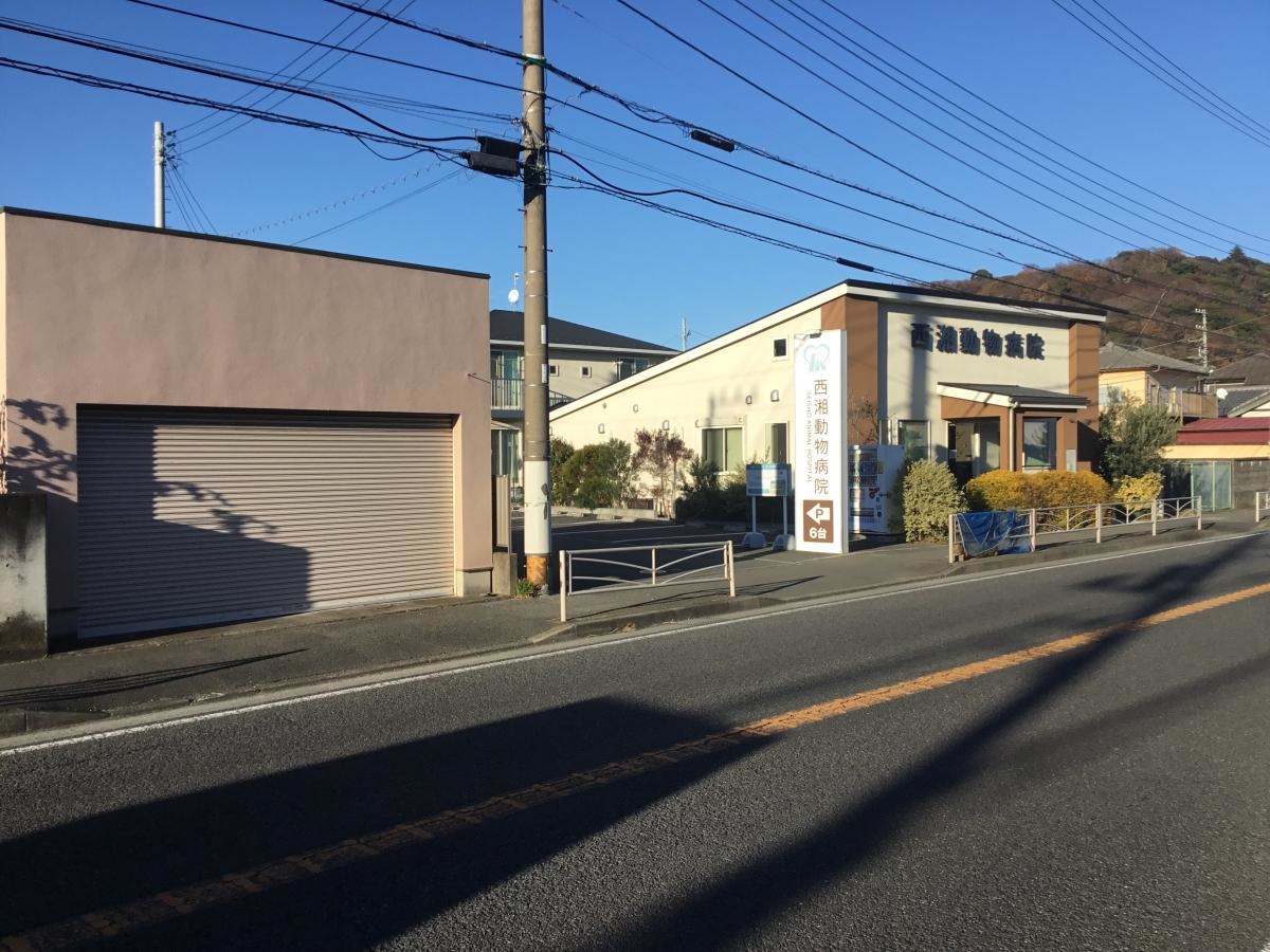 西湘動物病院