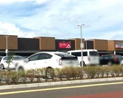 ダイソーフレスポ富沢店