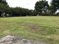 南部中央公園