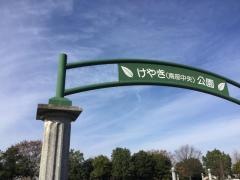 南部中央公園