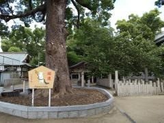 阿麻美許曽神社