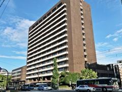 熊本市役所