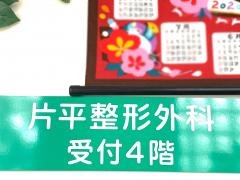 片平整形外科
