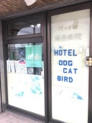 島田動物病院