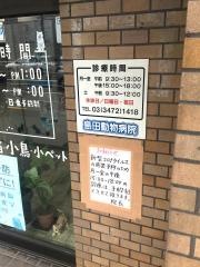 島田動物病院