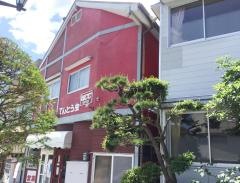 てんとう虫