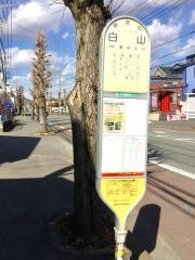 「白山」バス停留所