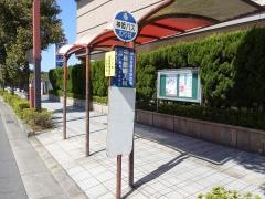 「姫路郵便局前」バス停留所