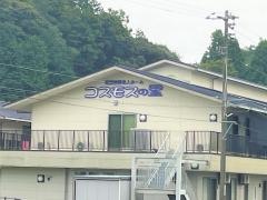 コスモスの里