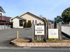 ねざさ腎泌尿器科皮膚科