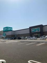 ニトリ　放出店