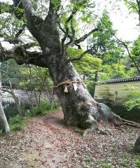 木戸八幡神社