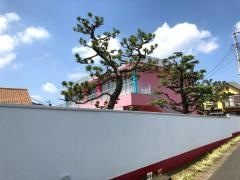 さざれ幼稚園
