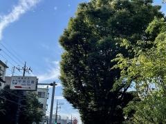 板橋区平和公園