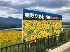 ブルーベリー明野