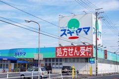 ドラッグスギヤマ形原店