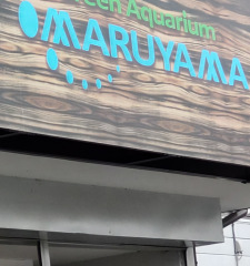 グリーンアクアリウムマルヤマ