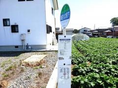 「津田火の見下」バス停留所