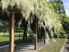 八王子公園