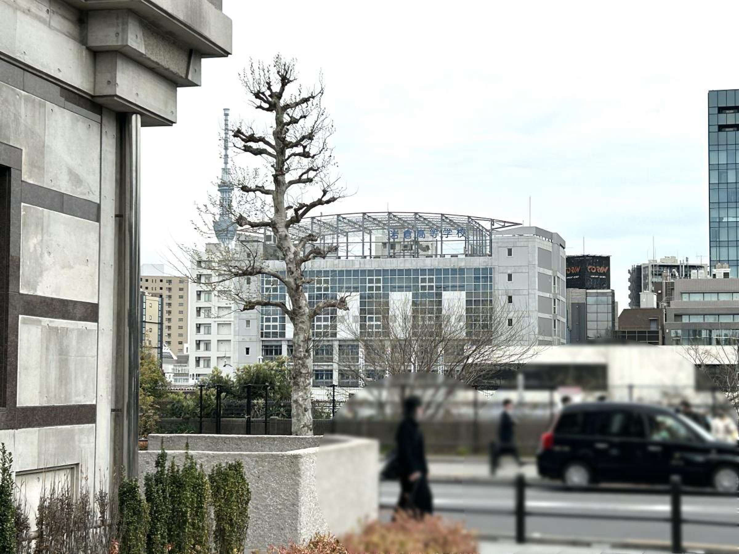 岩倉 高等 学校