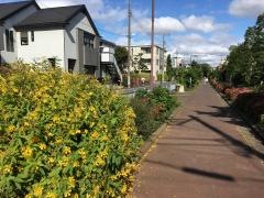 蛇崩川緑道
