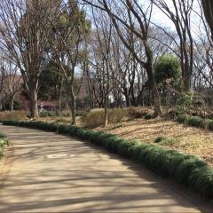 日野中央公園