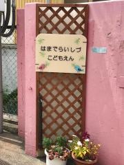 浜寺石津こども園