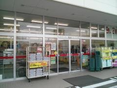 レデイ薬局丸亀南店